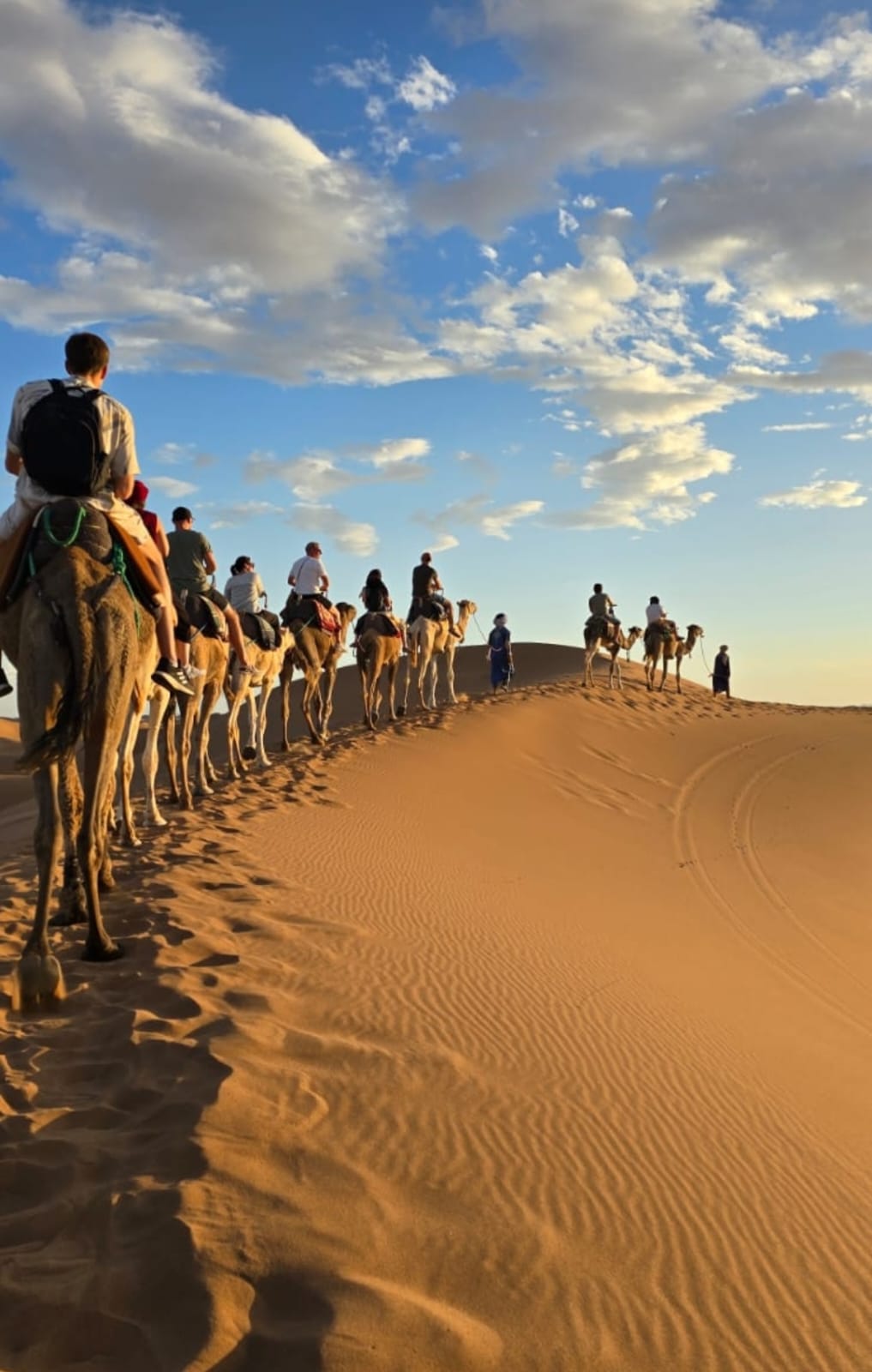 Caravane de dromadaires sur les crêtes de l'Erg Chegaga