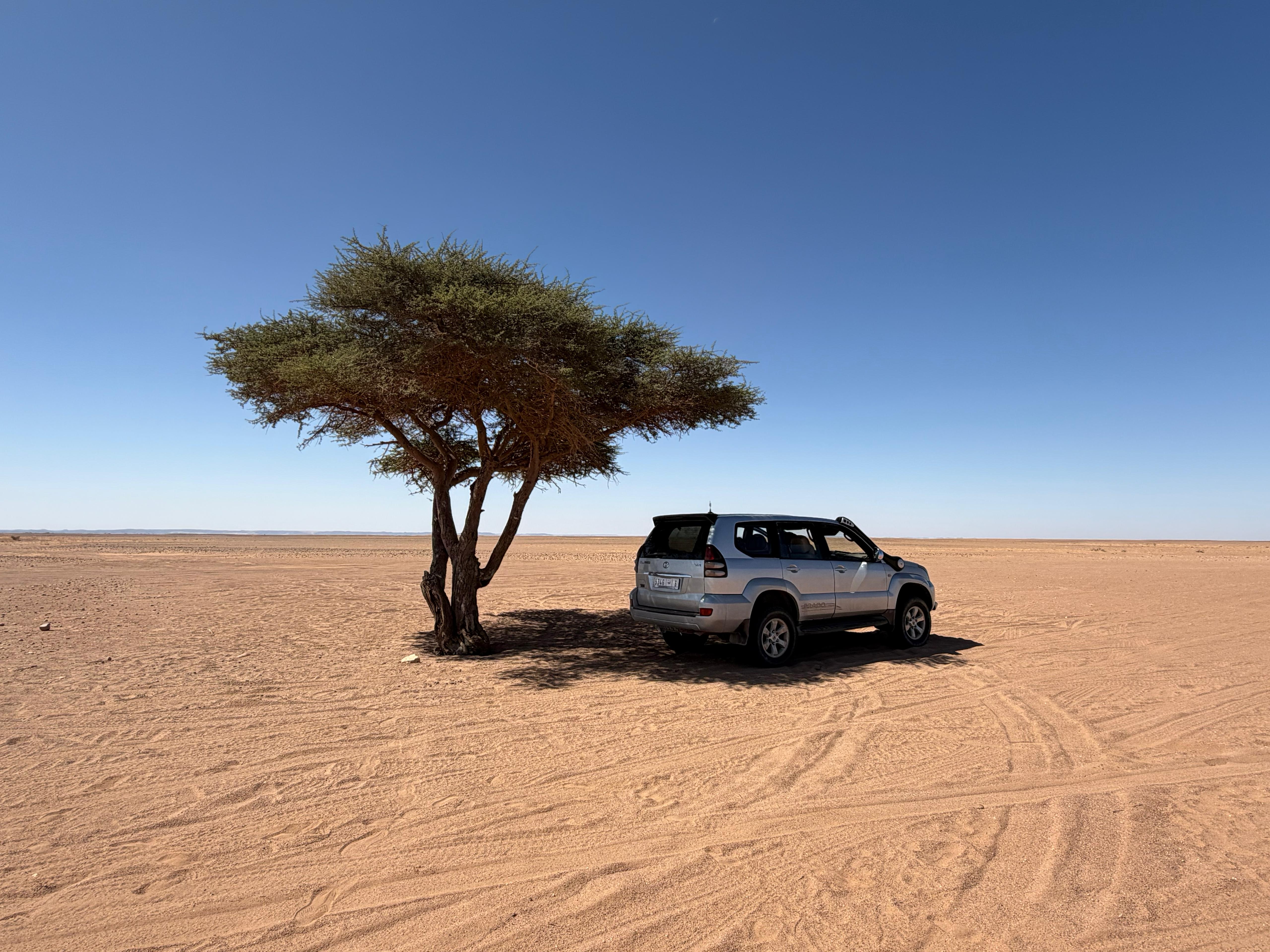 Toyota Prado 4x4 à l'ombre d'un acacia dans le désert du Sahara