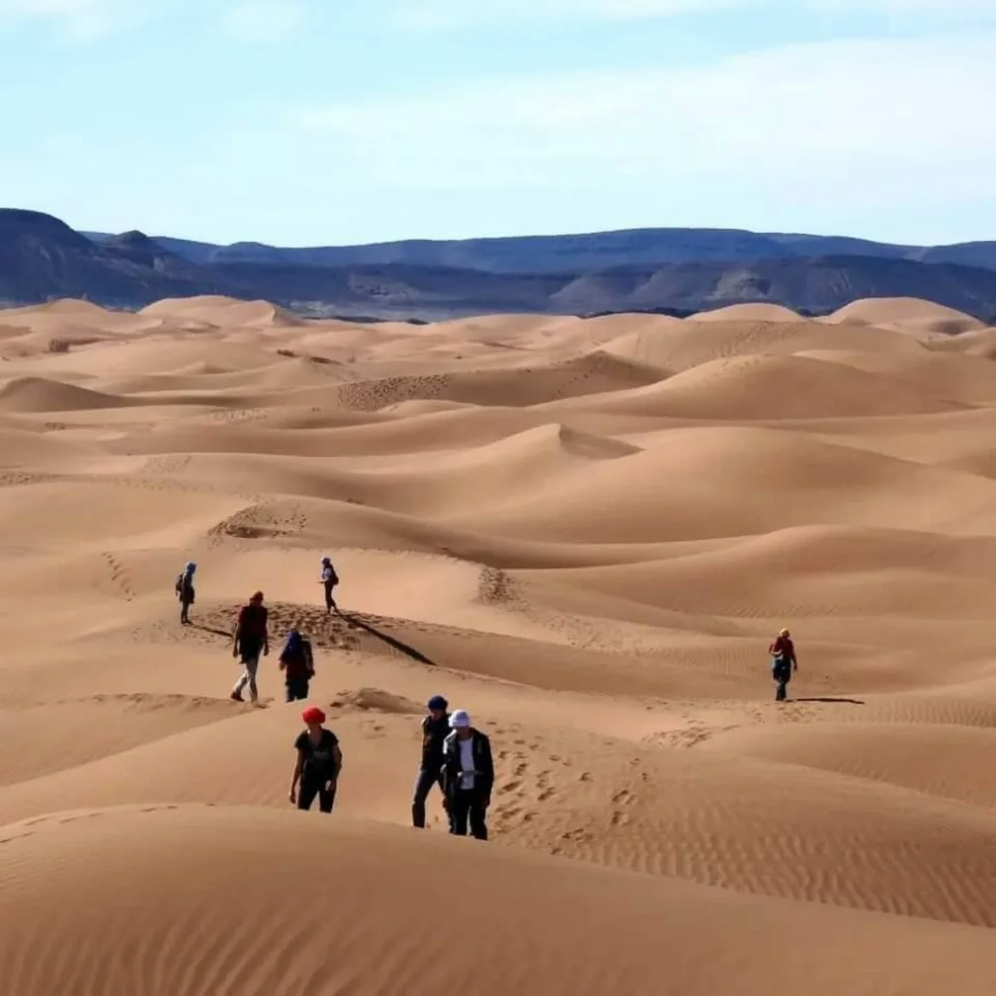 Randonnée pédestre au cœur des vagues de dunes du Sahara