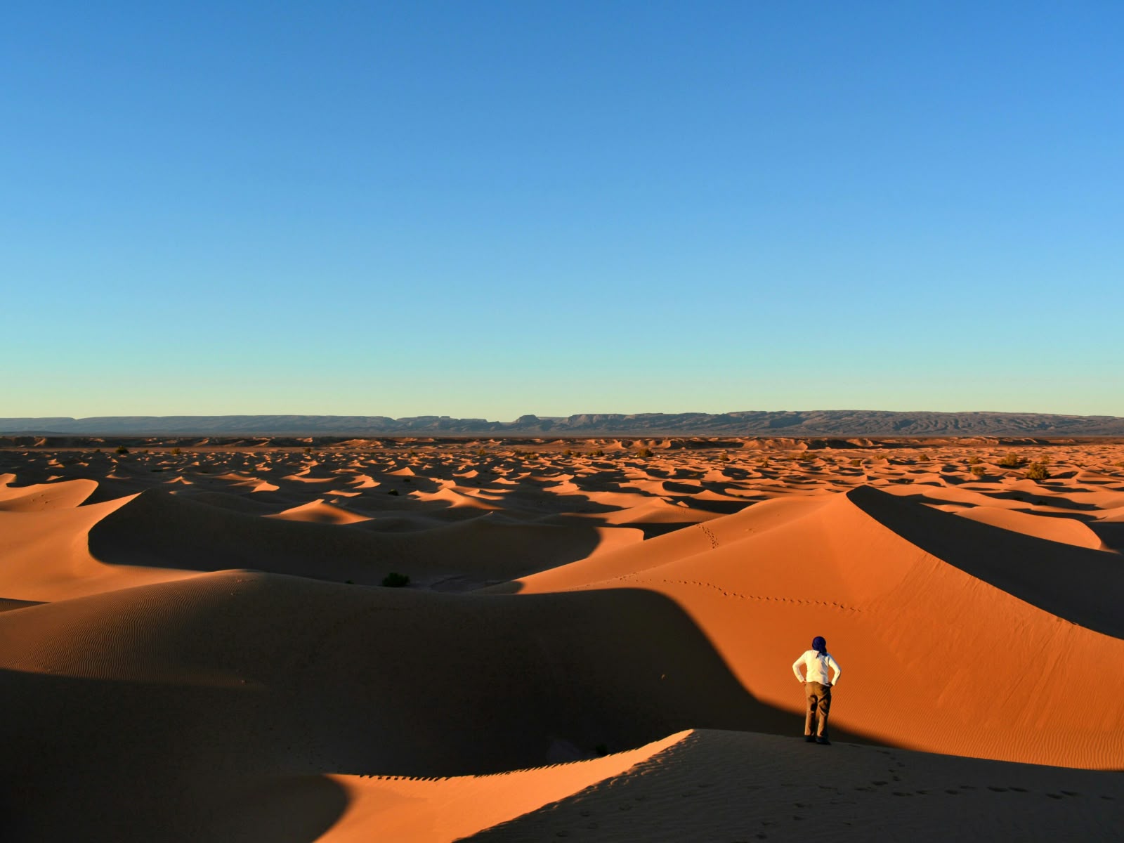 Voyageur au sommet des grandes dunes de l'Erg Chegaga